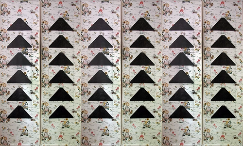 36 types of Fuji. 2010
